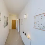 Apartment Kwiatkowski Nr 1 *
